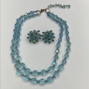 Elegant Blue beaded Necklace and Earring Set